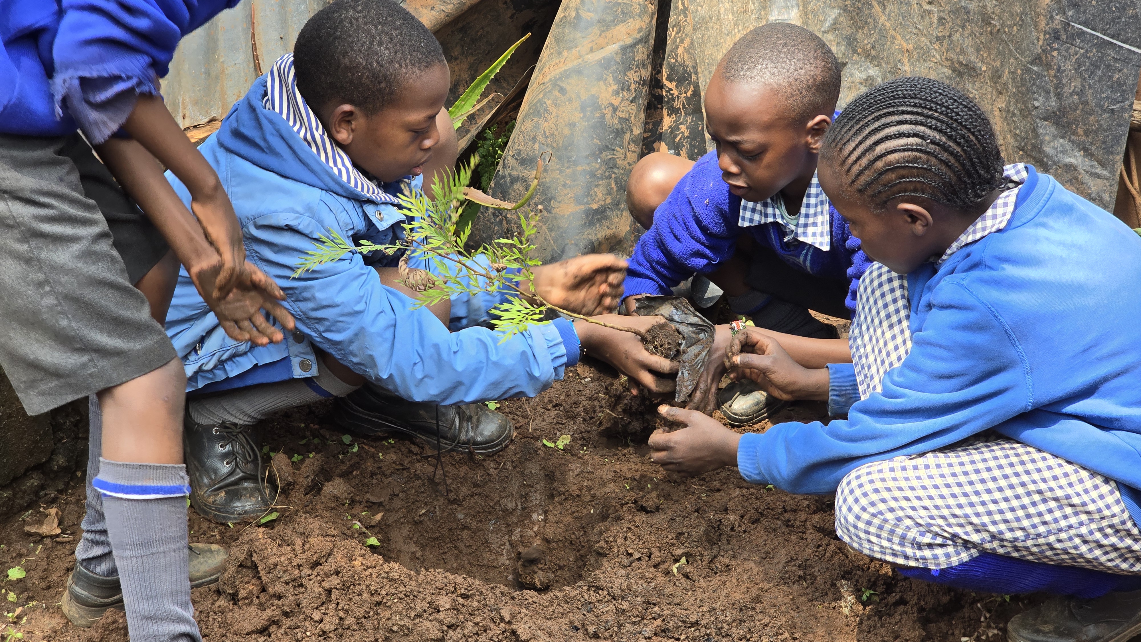 Involve the Children