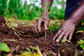 How Climate Change Deepens Child Poverty in Rural Africa