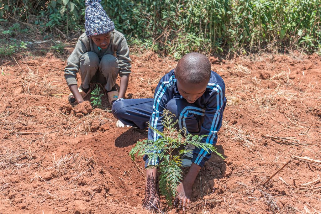 Cultivating Eco-Warriors: Can Children Help in Combating Climate Change?