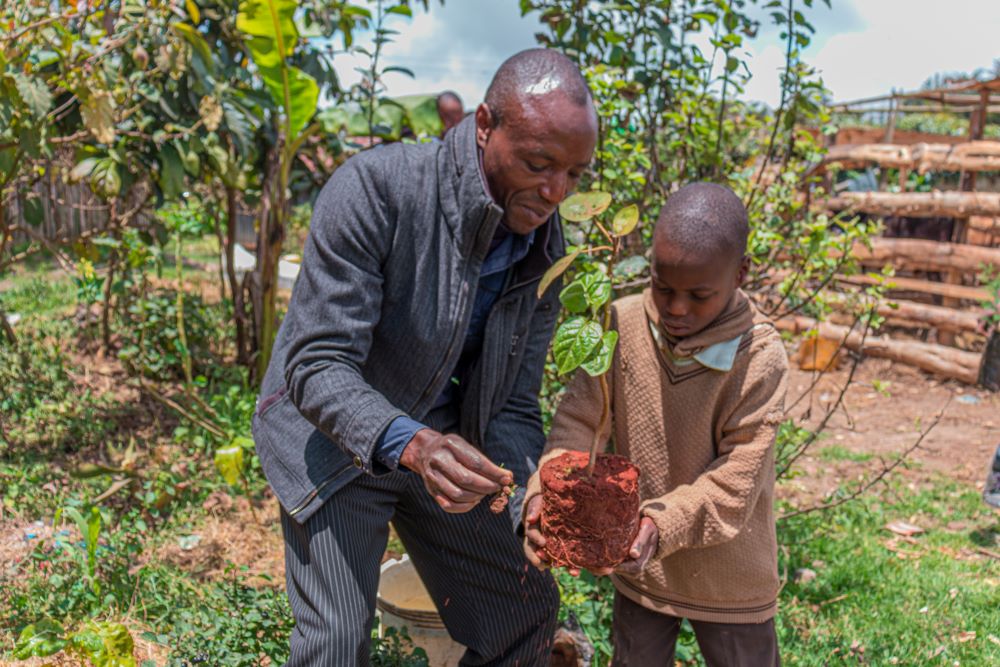 Cultivating Eco-Warriors